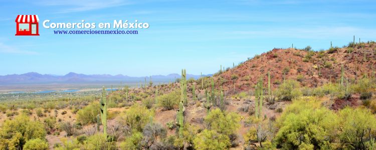 Comercios en México - Sonora